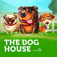 The Dog House